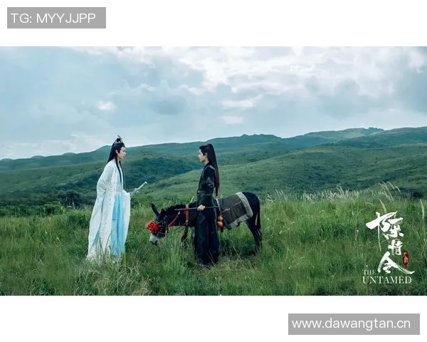 陈情令足球热潮引发的青春回忆与团队精神的碰撞